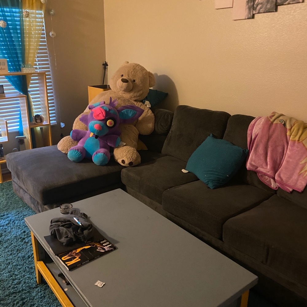 Gray couch